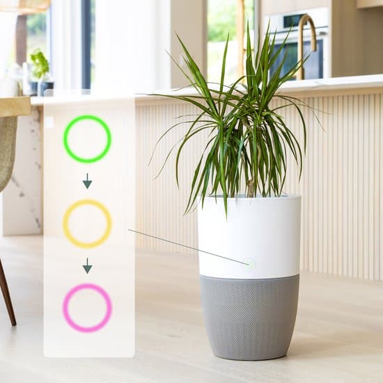 Stil, slim, stijlvol: Dupray Bloom luchtreiniger én plantenbak